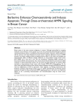 Berberine Enhances Chemosensitivity and Induces Apoptosis