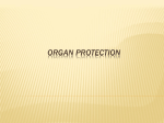 organ protection - M.V Hospital for Diabetes