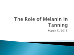 The Role of Melanin in Tanning