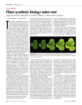 Plant synthetic biology takes root