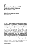 Chromatin Structure and DNA Replication: Implications for