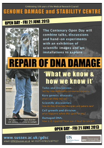 REPAIR OF DNA DAMAGE
