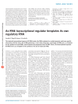 An RNA transcriptional regulator templates its own regulatory RNA