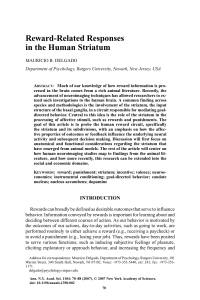 Reward-Related Responses in the Human Striatum