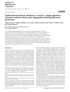 Peptide bond formation by aminolysin