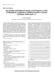 Nucleotide and Deduced Amino Acid Sequence of the 22