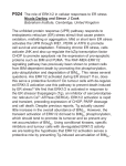 P024 The role of ERK1/2 in cellular responses to ER stress Nicola