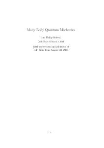 Many Body Quantum Mechanics