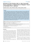 Activation of Pax7-Positive Cells in a Non