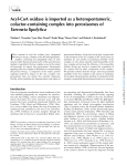 Acyl-CoA oxidase is imported as a heteropentameric, cofactor