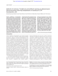 Induction of cytotoxic T lymphocyte and antibody