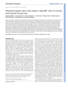 Potential hepatic stem cells reside in EpCAM cells of normal and
