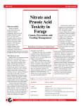 MF1018 Nitrate and Prussic Acid Toxicity in Forage