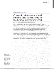 Crosstalk between cancer and immune cells: role of