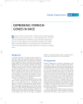 EXPRESSING FOREIGN GENES IN MICE