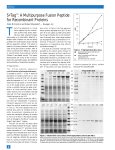 S•Tag : A Multipurpose Fusion Peptide for Recombinant Proteins