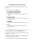 Viral Replication: Lytic and Lysogenic Cycles