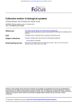 Collective motion in biological systems