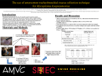 3 real-time PCR tests performed on each of 5 sample types= 480