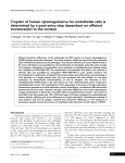 Tropism of human cytomegalovirus for endothelial cells is