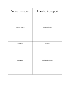passive active transport word sort