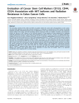Evaluation of Cancer Stem Cell Markers CD133, CD44, CD24