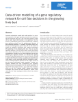 Datadriven modelling of a gene regulatory