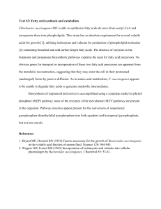 Text S3: Fatty acid synthesis and catabolism