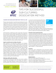 Tips for successful sub-culTuring: DissociaTion MeThoD