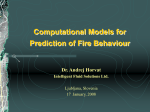 Computational models for prediction of fire behaviour
