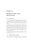 Chapter 4 Submicron Soft X-ray Spectroscopy