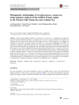 Phylogenetic relationships of Scomberomorus commerson using