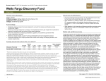 Discovery Fund - Wells Fargo Funds