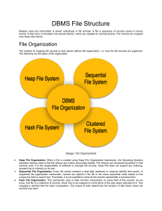 DBMS File Structure