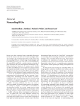 Editorial Noncoding RNAs