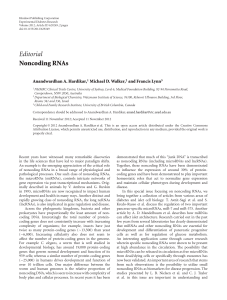 Editorial Noncoding RNAs