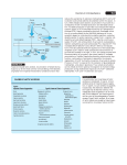 Disorders of Acid