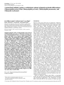 A monoclonal antibody against a carbohydrate