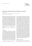 Molecular mechanisms of growth cone guidance