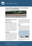 The Use of DNA to Investigate the Occurrence of Salmon and Sea