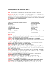 Investigation of the structure of DNA