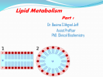 Biochemistry Lect 4 – N.42 – Lipid metabolism