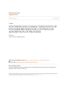 synthesis and characterization of polymer brushes for