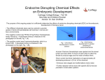 Endocrine Disrupting Chemical Effects on Embryonic Development