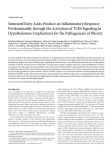 Saturated Fatty Acids Produce an Inflammatory Response