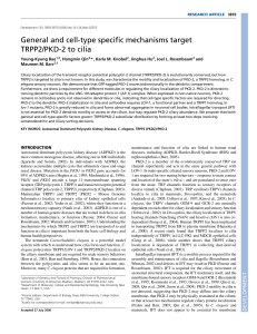 General and cell type specific mechanisms target