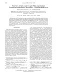 Structure of Spin-Coated Lipid Films and Domain Formation in