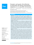 Dynamics and genetic diversification of Escherichia coli