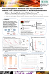 Prior Knowledge-based Mammalian Gene Regulatory Network