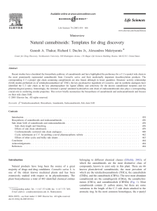 Natural cannabinoids: Templates for drug discovery